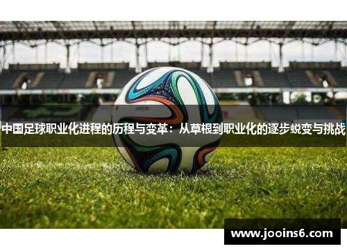 中国足球职业化进程的历程与变革：从草根到职业化的逐步蜕变与挑战