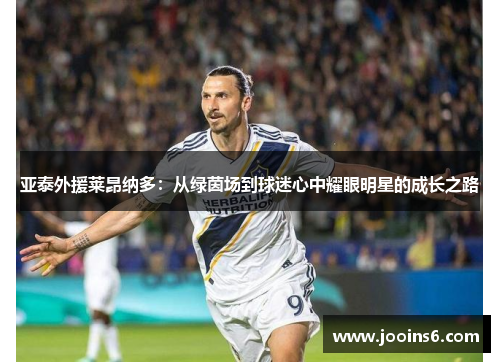 亚泰外援莱昂纳多：从绿茵场到球迷心中耀眼明星的成长之路