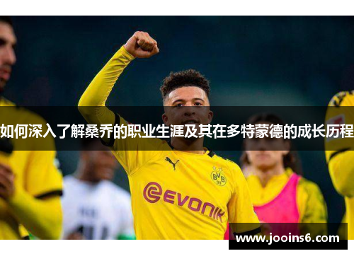 如何深入了解桑乔的职业生涯及其在多特蒙德的成长历程